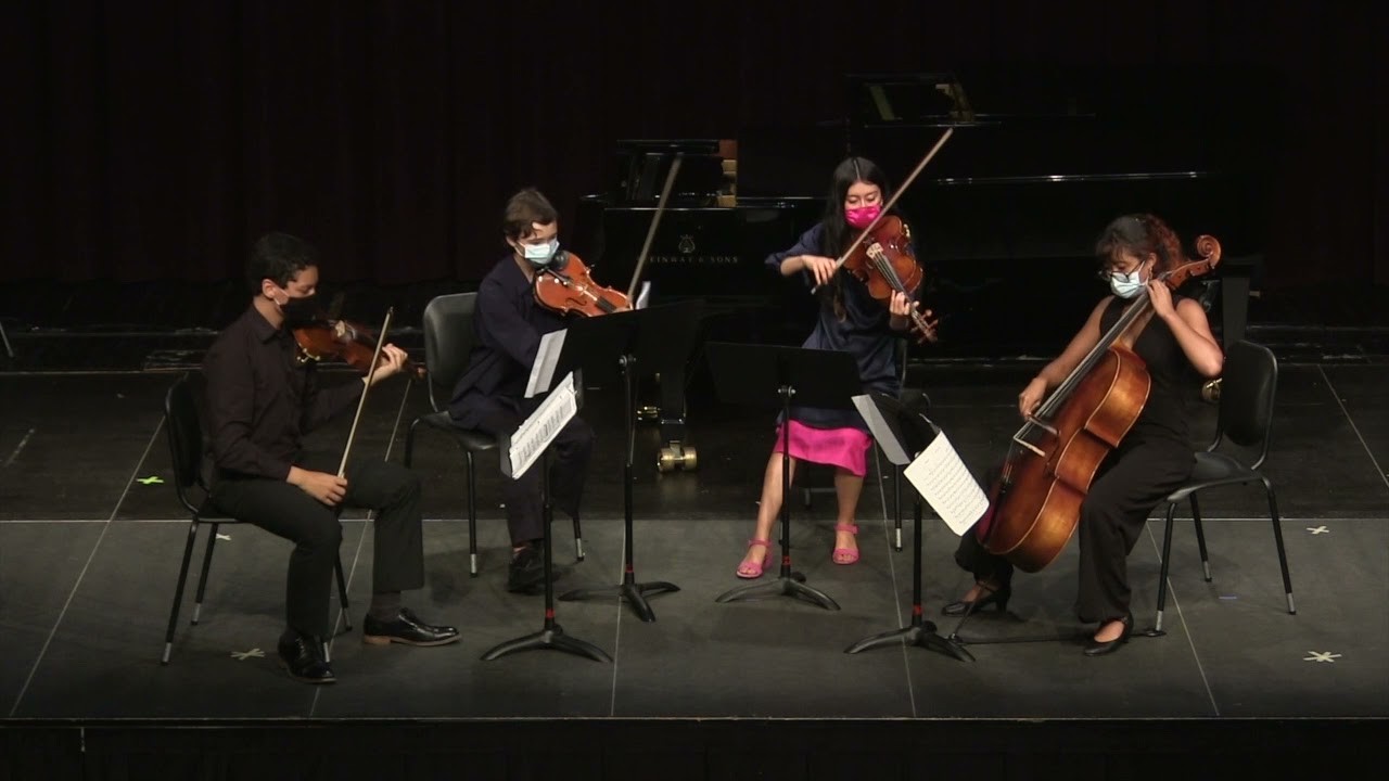 Crowden Youth Chamber Music Summer workshop (summer 2021)