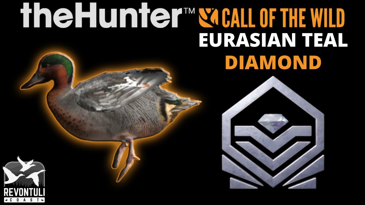 DIAMOND 😲 Eurasian Teal (Dark Green) in theHunter Call of the Wild | REVONTULI COAST