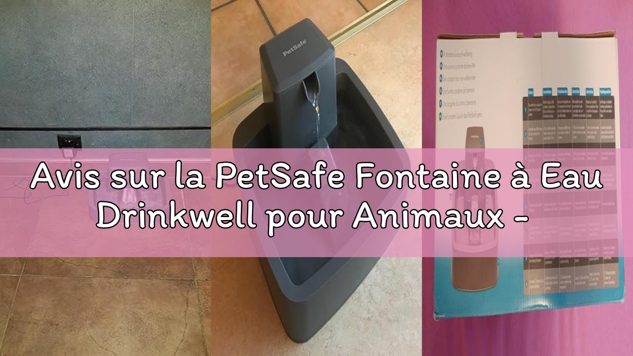 Avis sur la PetSafe Fontaine à Eau Drinkwell pour Animaux - Idéale pour Chat/Petits Chien 1,8 L – Di