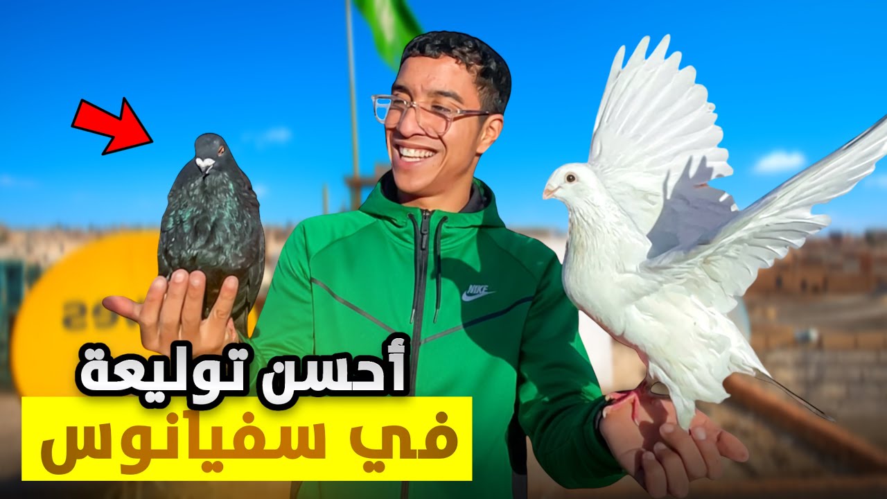 حياة مولوع: توليعة في الحمام سيفيانوس🕊️الحر متخيلوش شنو وقع 😱