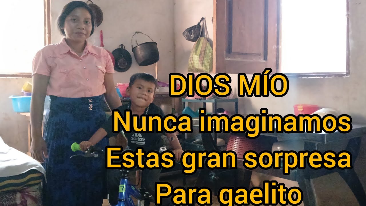 DIOS MÍO gaelito nunca se imaginaba estas gran sorpresa de parte de estardo