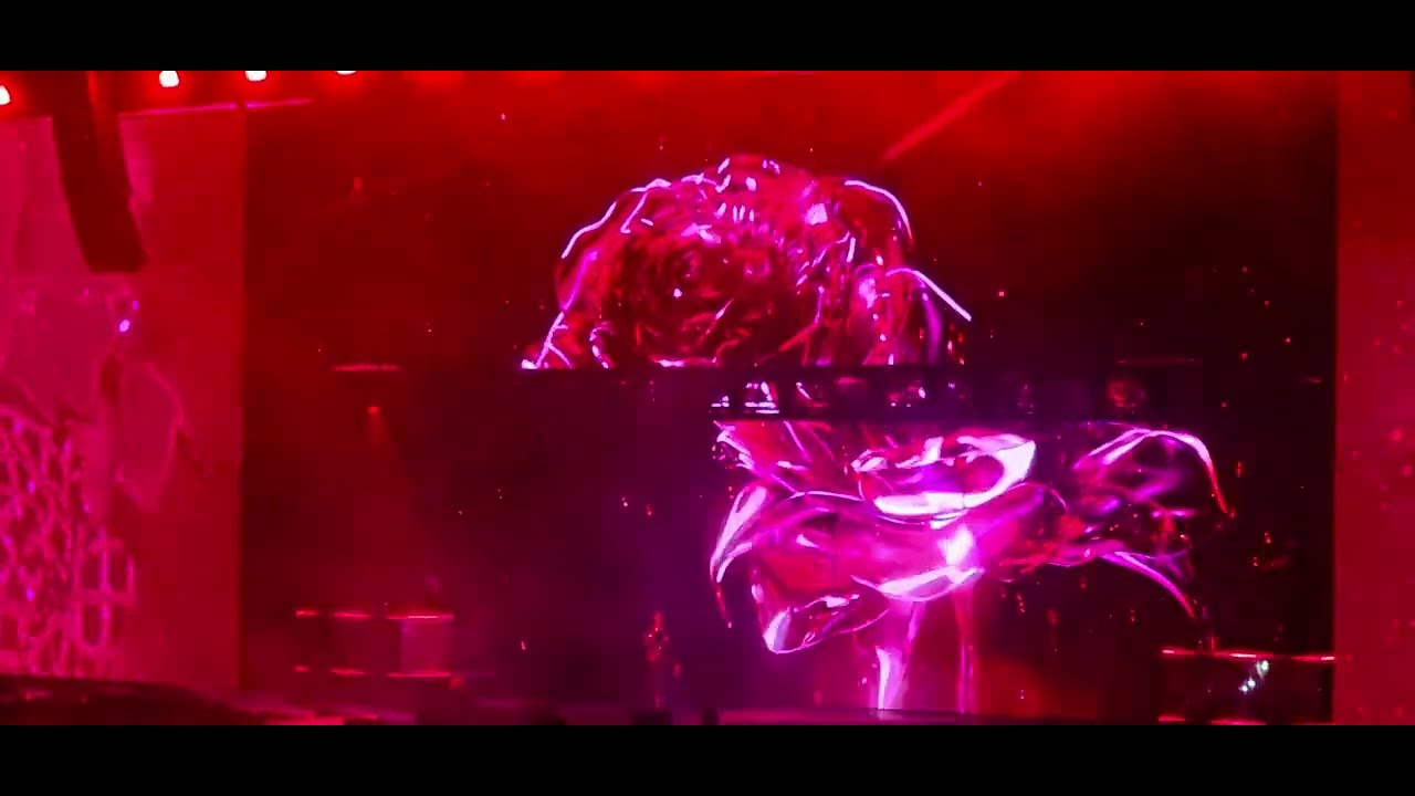 ROSE - NINHO - JEFE AIRLINES TOUR - STADE DE FRANCE - 03 MAI 2025