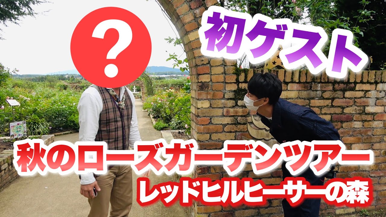 【初ロケ初ゲスト】趣味の園芸でお馴染みのあの方がご登場！初公開のバラの裏技も！【レッドヒルヒーサーの森】【ローズガーデン】【秋バラ】