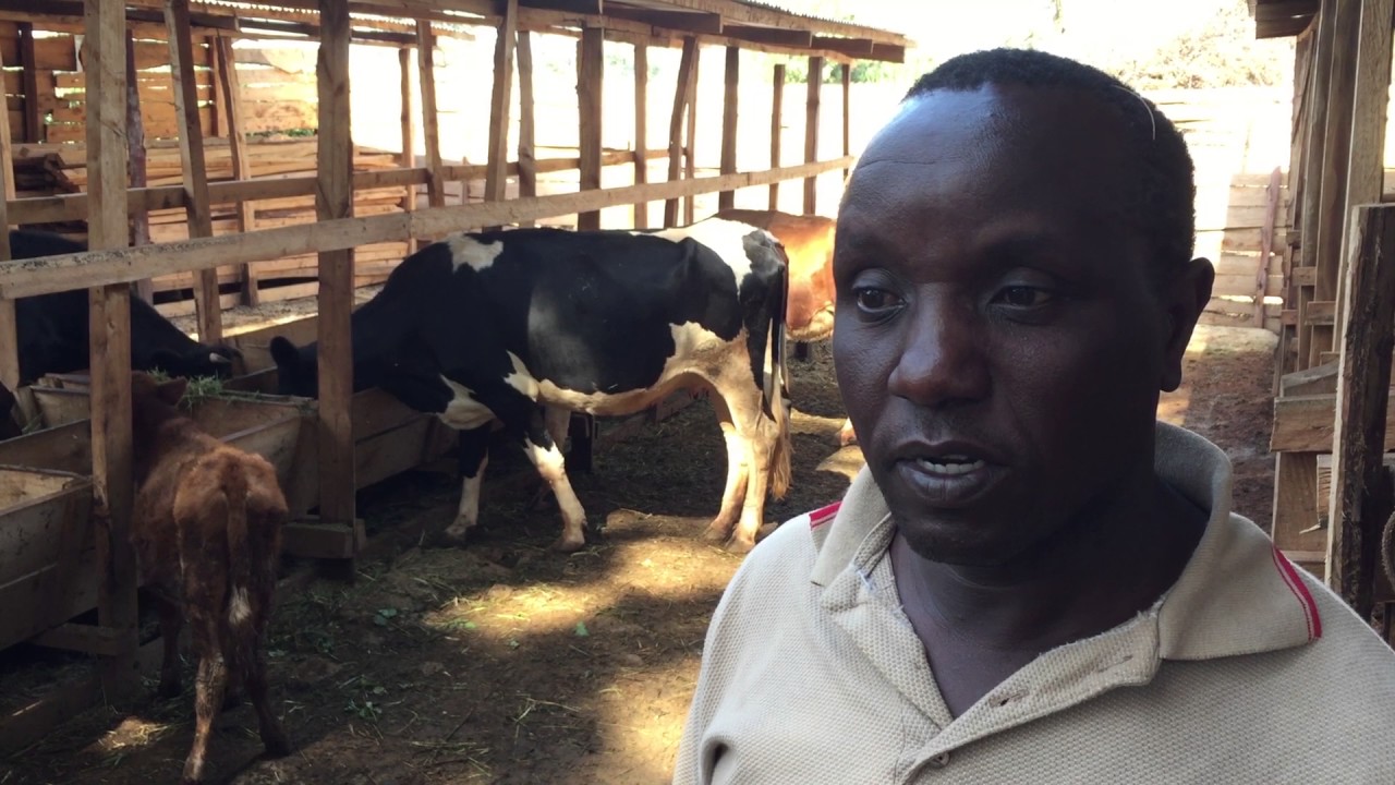 Kenyan dairy farmer has big plans