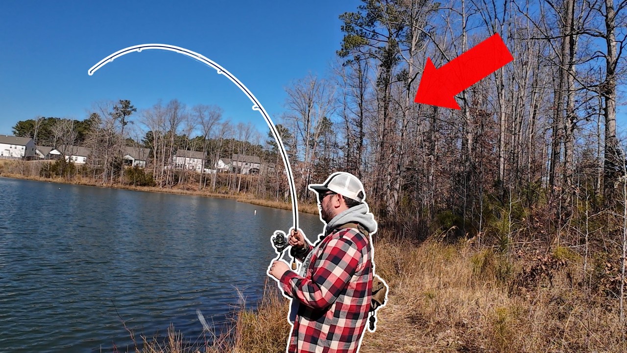 Сверхлегкая рыболовная снасть для ловли всего, что клюет.