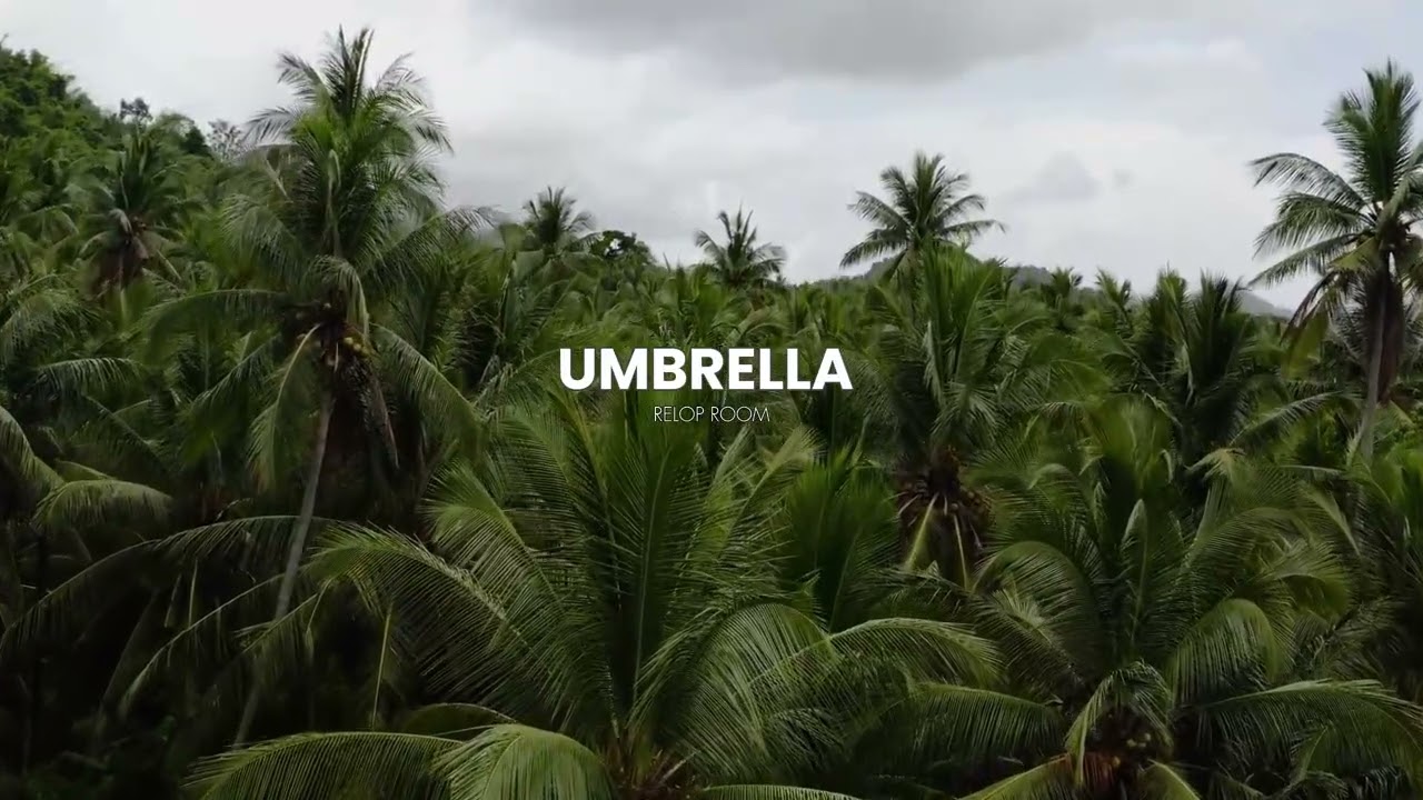 UMBRELLA - Drive Groovy House Remix | RELOPROOM