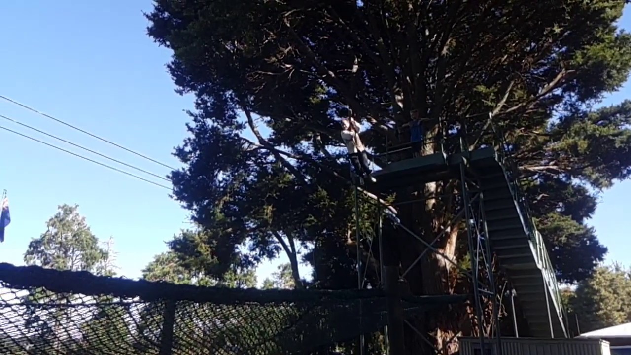 Wade & the Flying Fox (slomo)