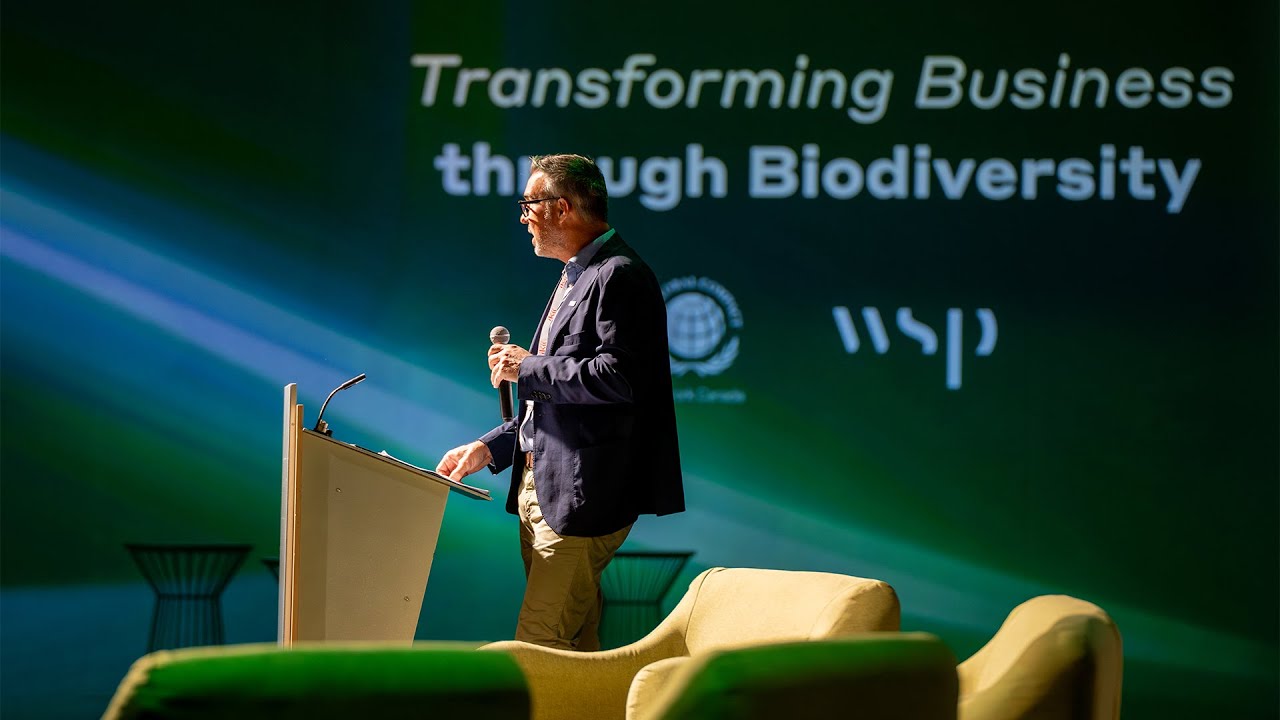 Understanding the TNFD Framework: A Beginner’s Guide to Nature-Related Financial Disclosures