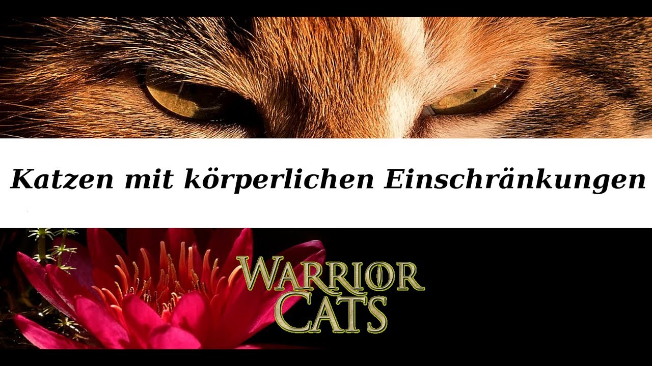 Warrior Cats Katzen mit körperlichen Einschränkungen