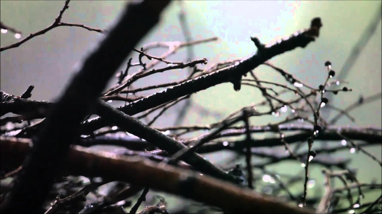 Qaraqan — Yağış