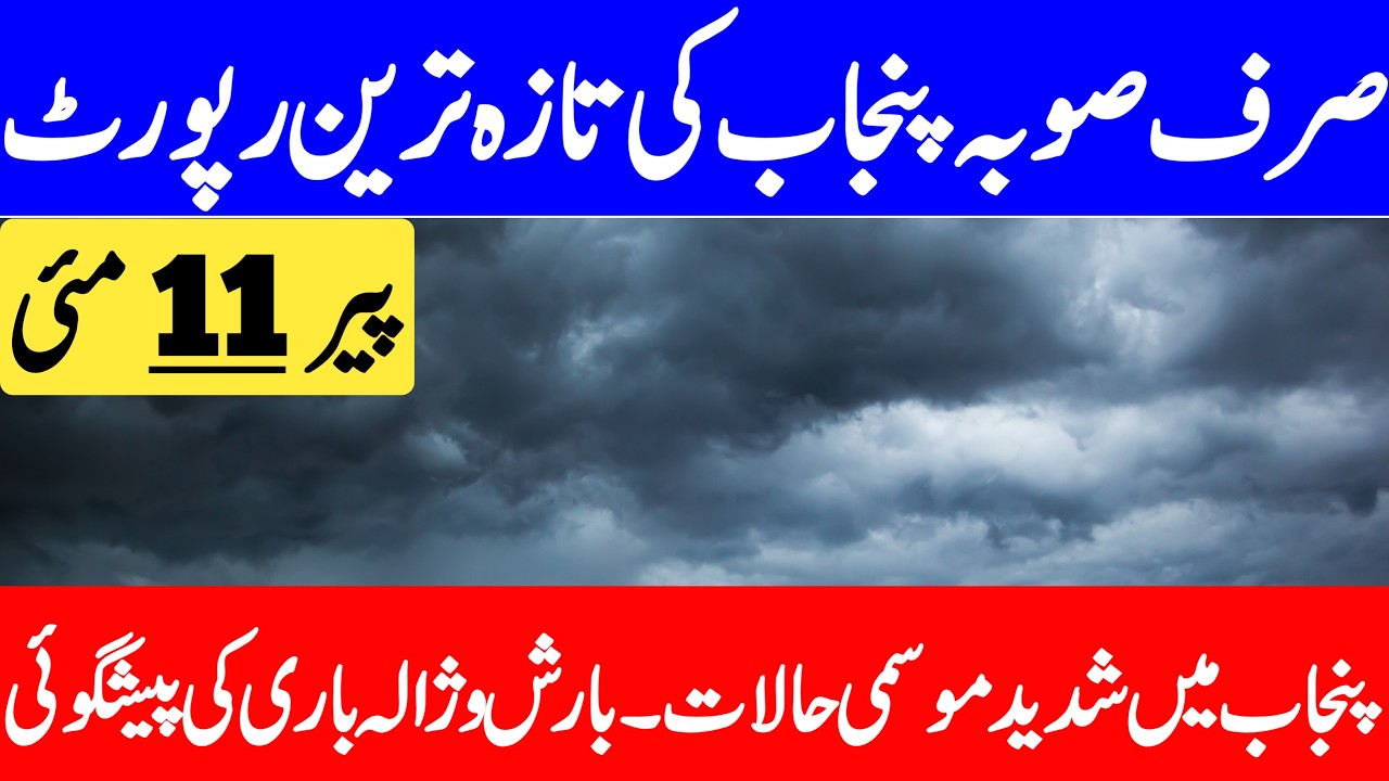 Daily Weather Report | Today Weather Update | Tomorrow Weather Report | Punjab Weather Report