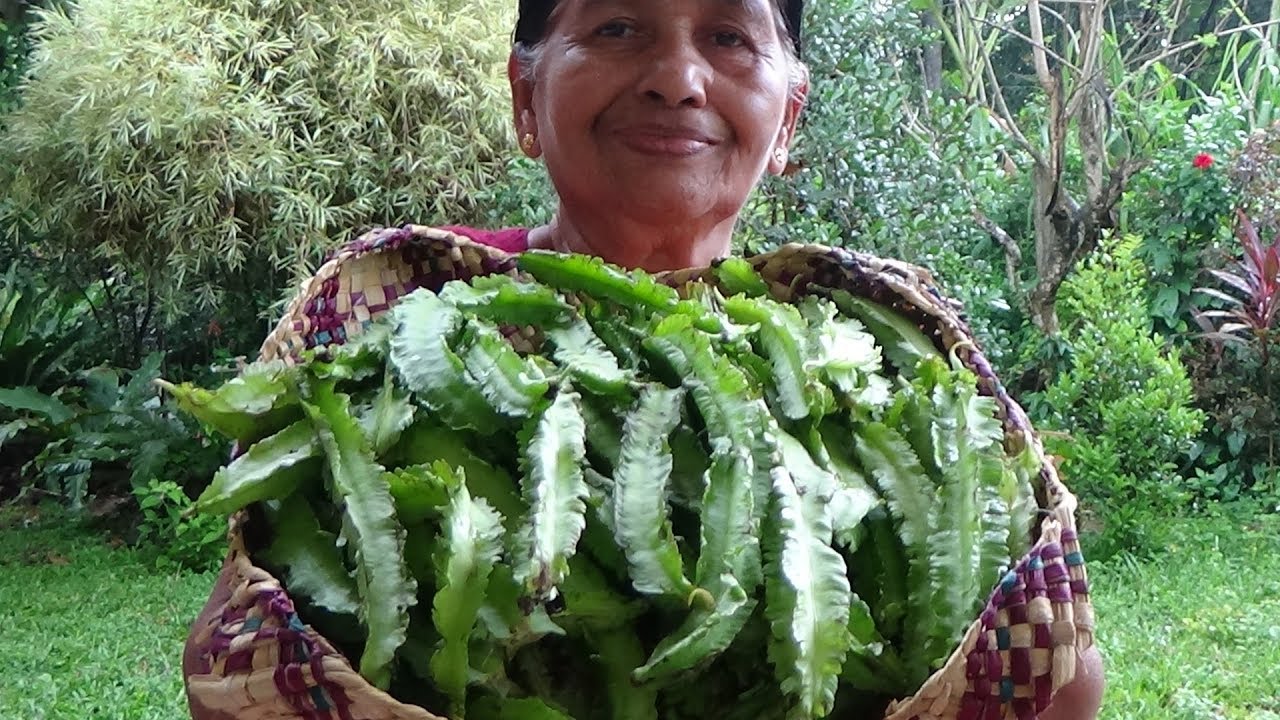 Healthy Village Food / Cooking Winged Beans in my Village by my Mom