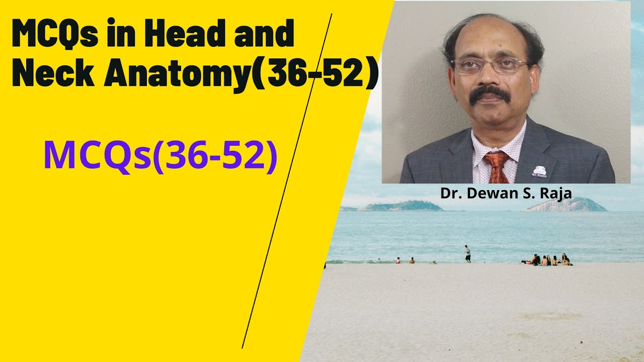 MCQs in Head and Neck Anatomy (36-52)
