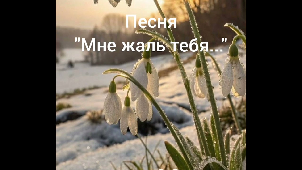 Песня 