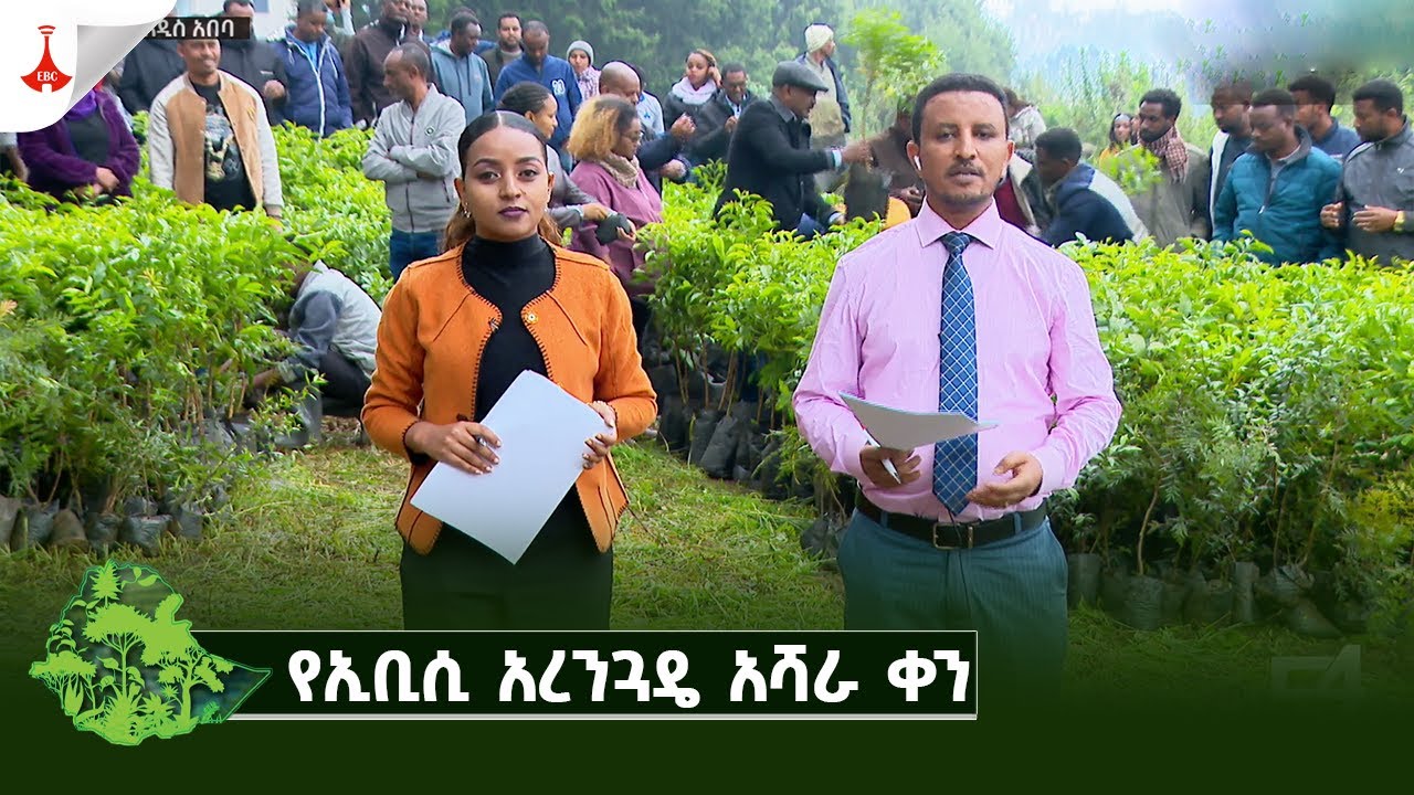 የኢቢሲ አረንጓዴ አሻራ ቀን Etv | Ethiopia | News zena