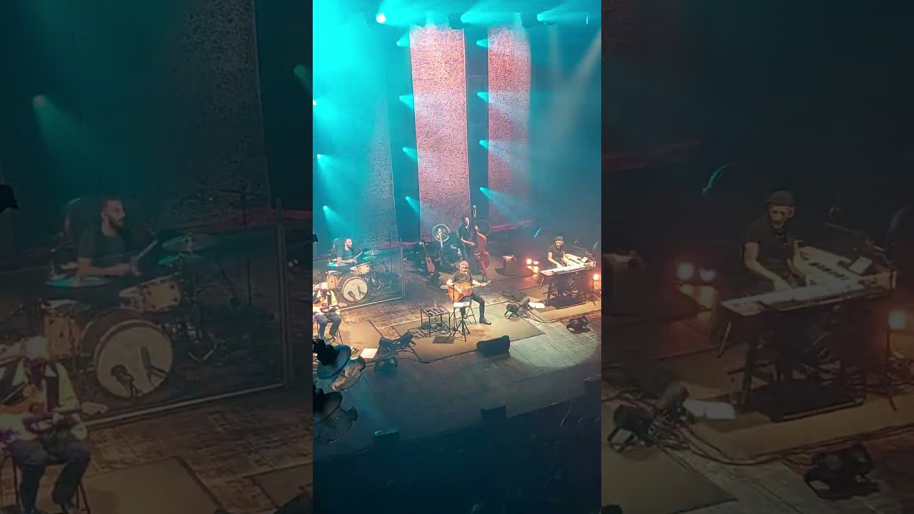 Ligabue  - Urlando contro il cielo  Live in Correggio