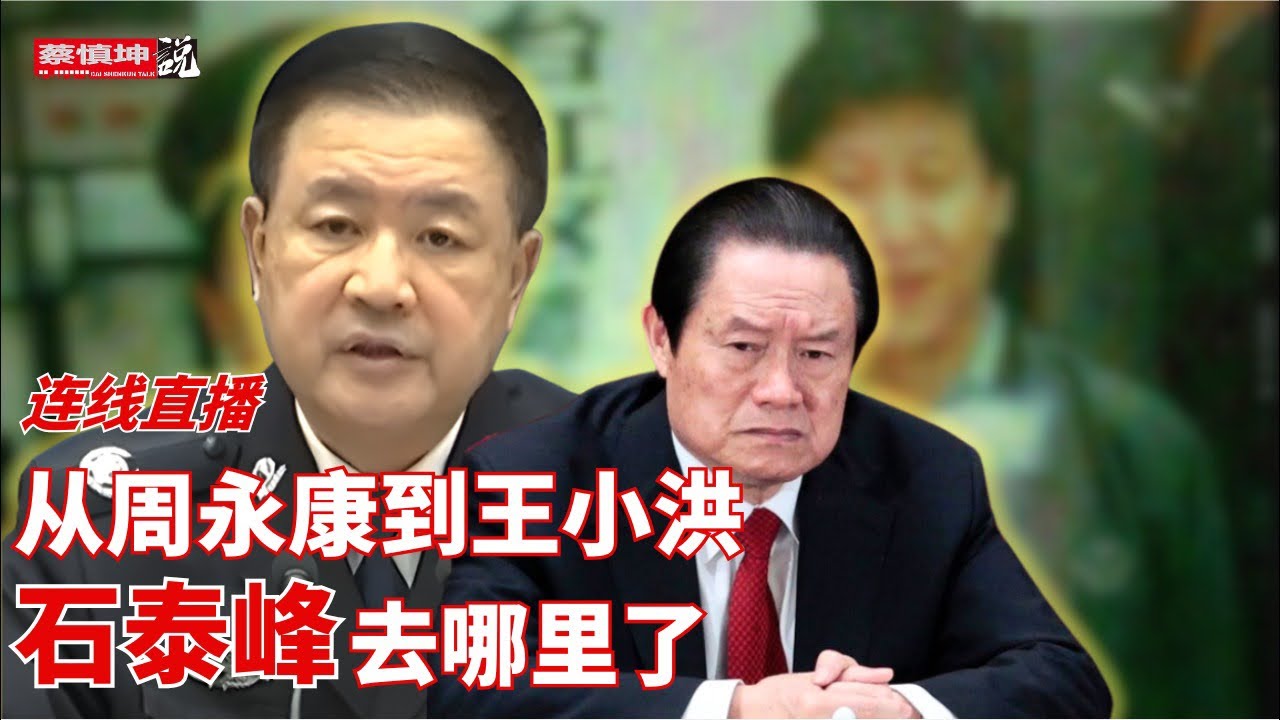从周永康到王小洪｜老同志出來了｜石泰峰去哪裡了｜新疆書記還入局｜中俄关系風雲變幻｜中國財富蛋糕｜（20260214第944期）