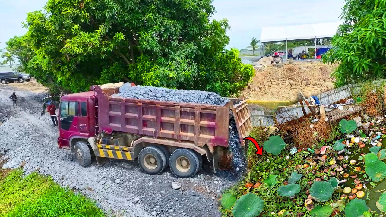Nice Project, Bulldozer KOMATSU D31P Push Soil & Stone Into Water, Dump truck unloading