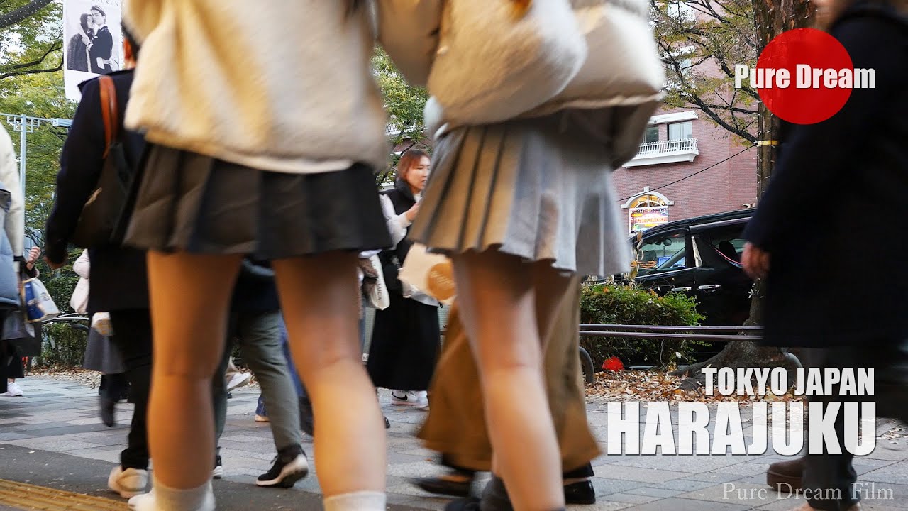 HARAJUKU NOVEMBER 24, 2024. T1604 JP