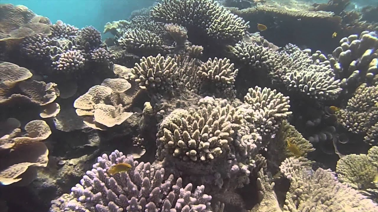 Mayotte 2014