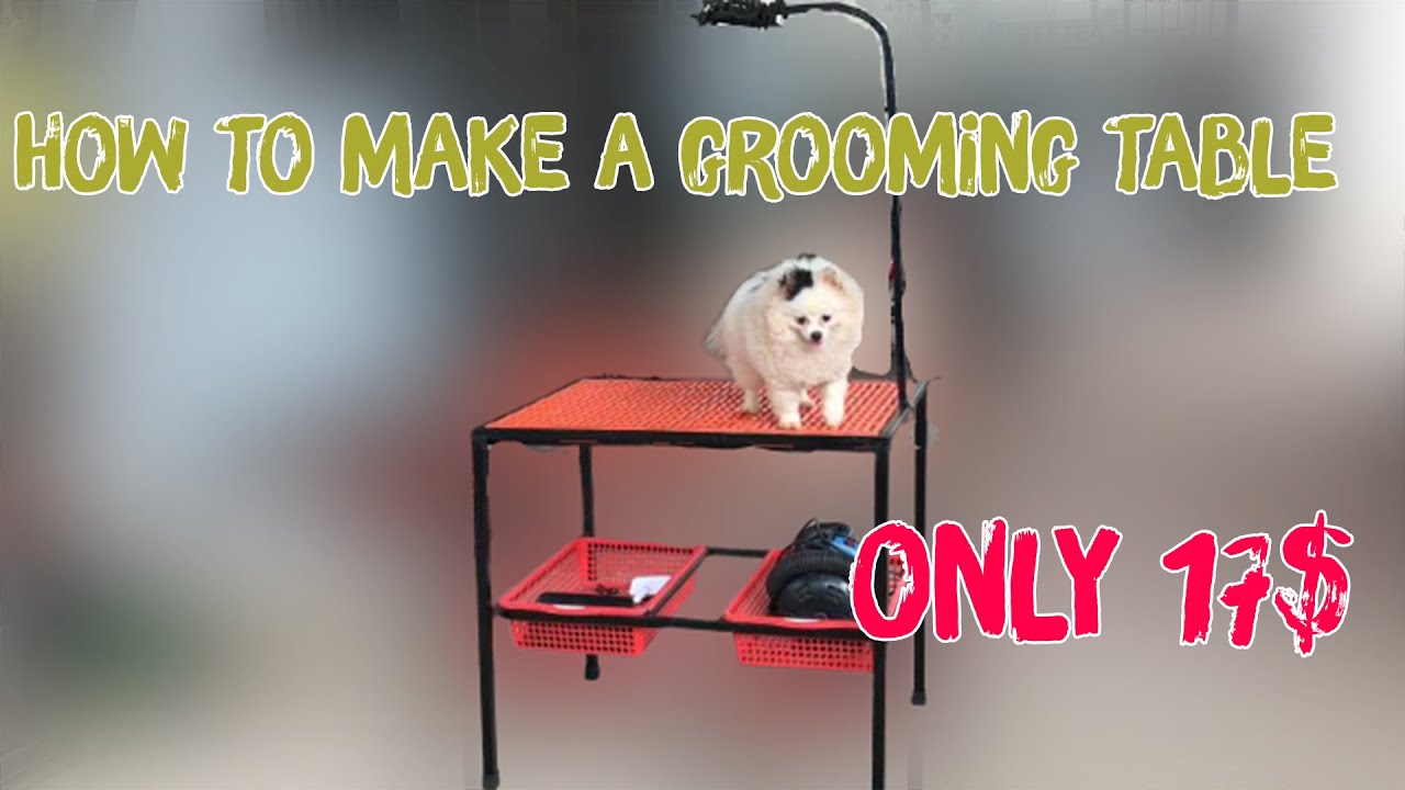 Как сделать груминг для собак всего за 17 $ | Pet World