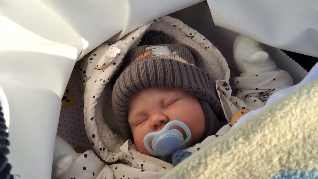 Wir hatten einen schönen Tag mit unsere Reborn babys  (unbezahltes Werbevideo)