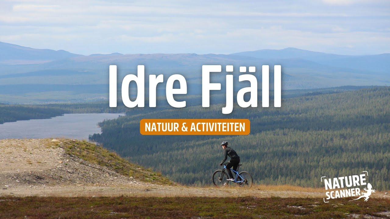 Natuur bij Idre | Idre Fjäll en omgeving