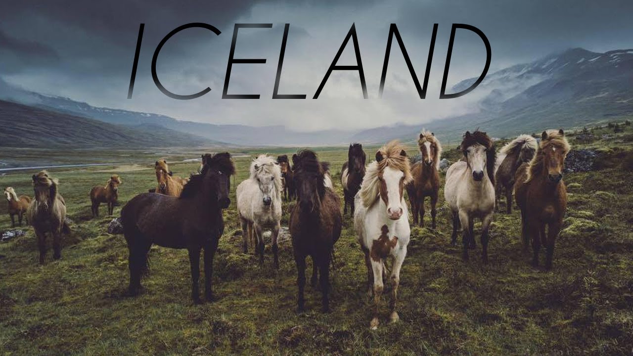 Iceland Ring Road Adventure
