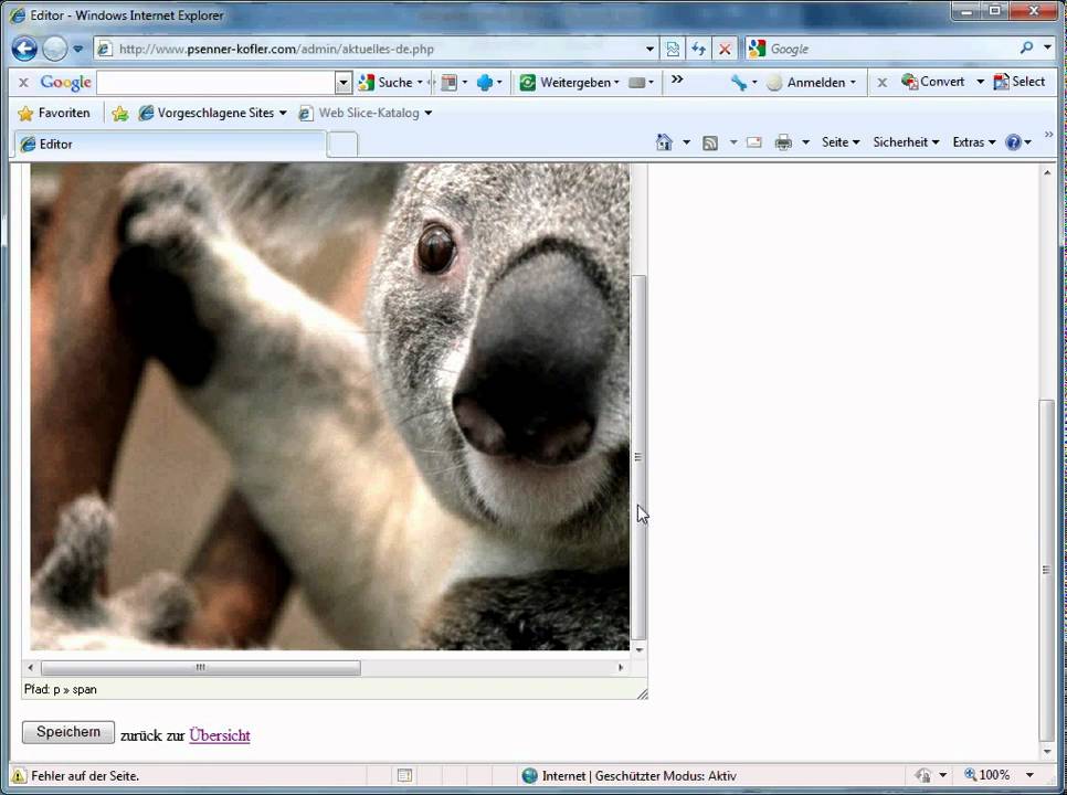 Onlineeditor Tinymce und Ajax Filemanager