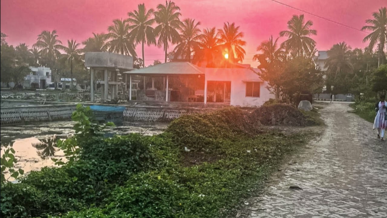 DeadWhiteNoise-I see the sun.