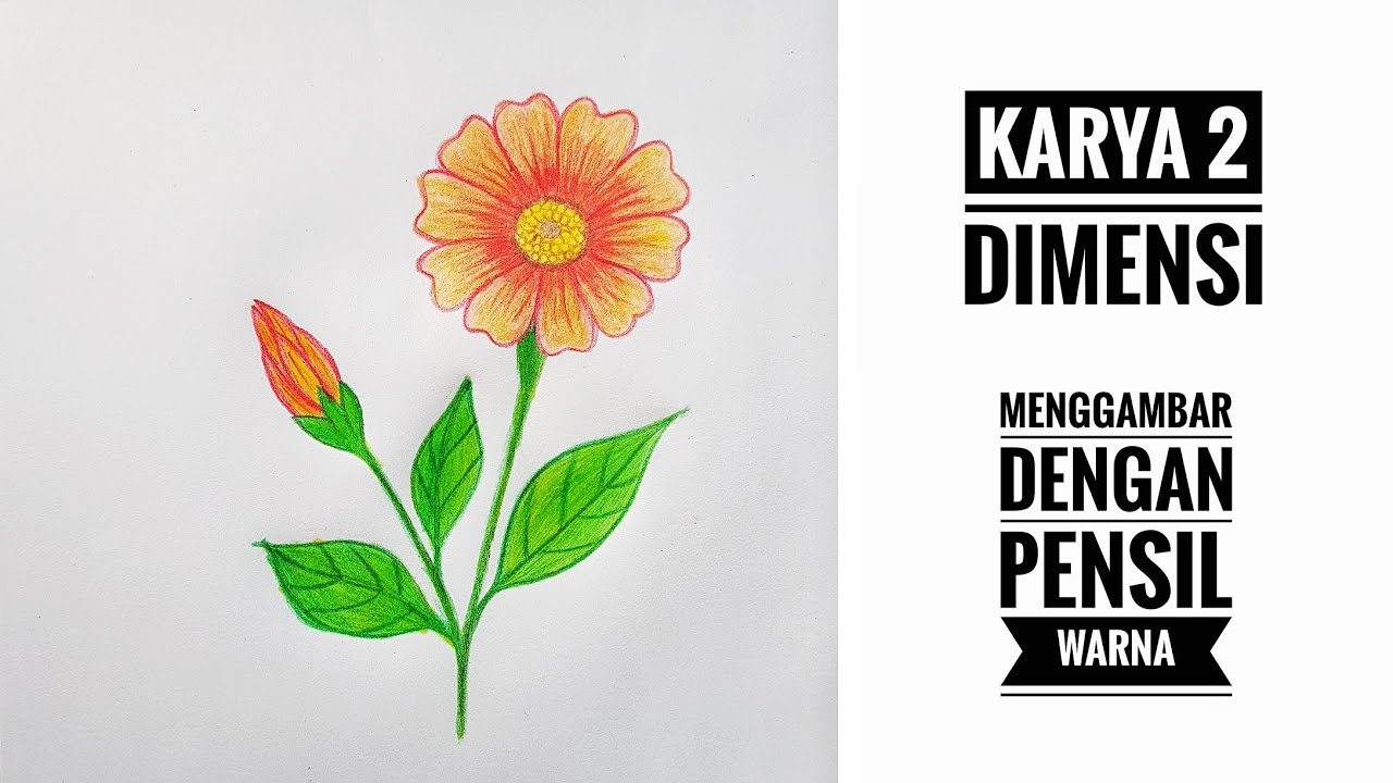 Karya 2 Dimensi || Seni Rupa Kelas 2 SD || Menggambar Bunga Dengan Pensil Warna OBOS