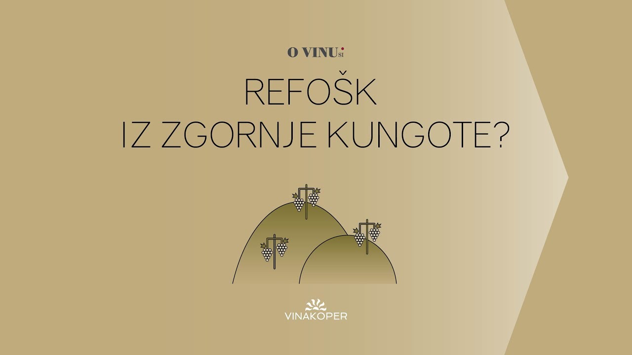 Kako nastane vino? Refo&scaron;k iz Zgornje Kungote. 6. del