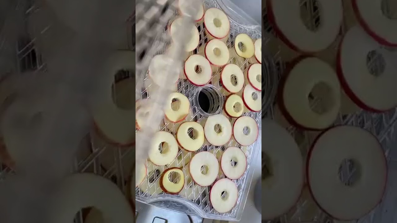 Ломтики сушеных яблок 😍 полезный перекус
