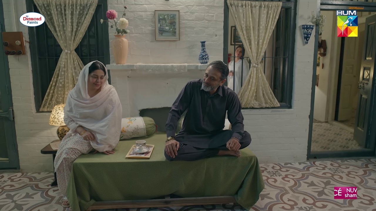 Hamari Hurmat Ki Qismat Tou Chamak Uthi...! #dananeermubeen #hurmat #shahveerjaffery #humtv