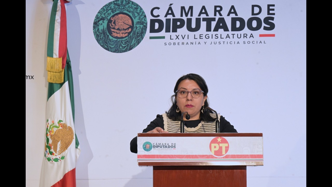 EN VIVO / Conferencia de prensa de la Dip. Martha Aracely Cruz Jiménez (PT)