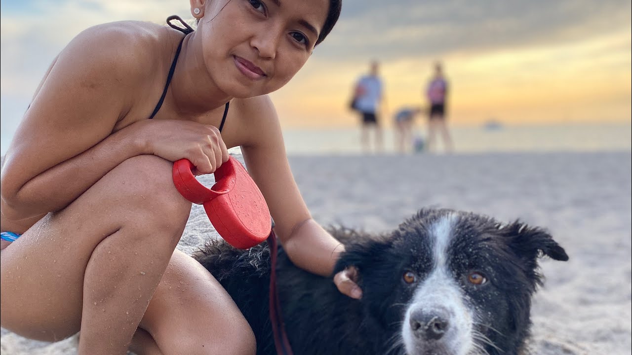 Best Ways to Take Care of Your Dogs // Filipina Life in Denmark // Rona Kjerumgaard