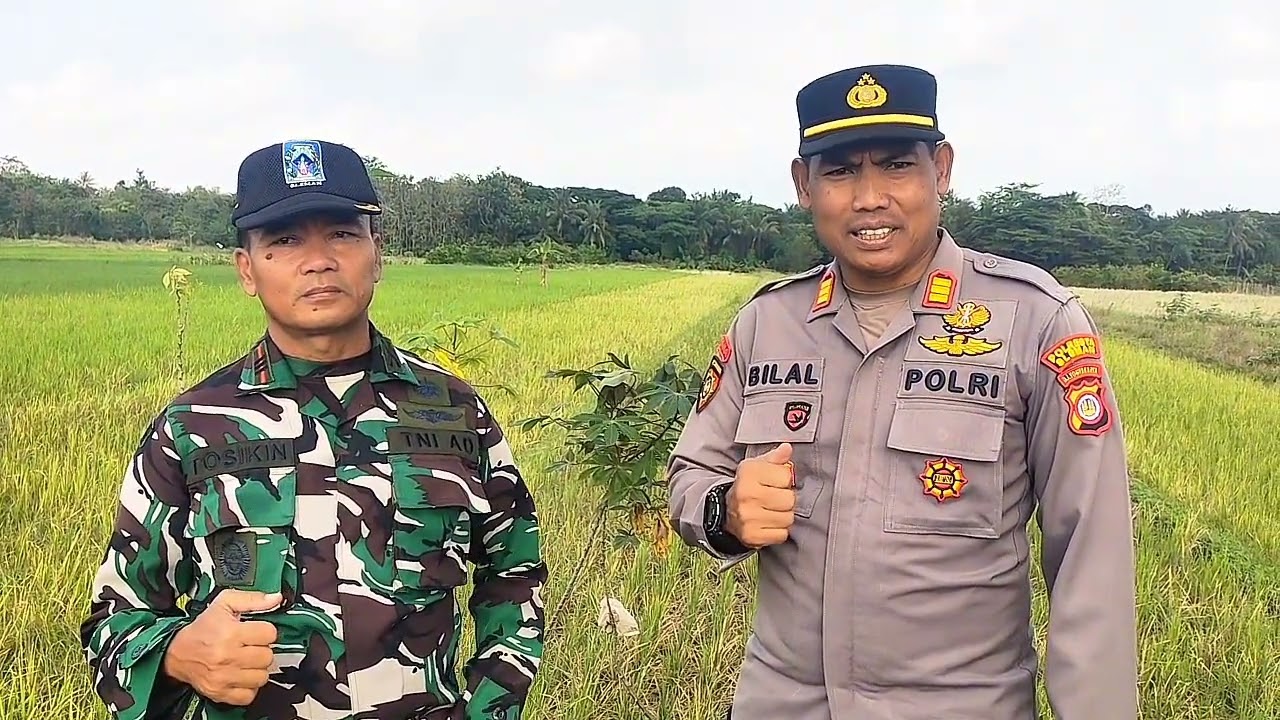 Vlog 192 Gerdal Hama Tikus di Gapoktan Sumbersari, Moyudan, Sleman