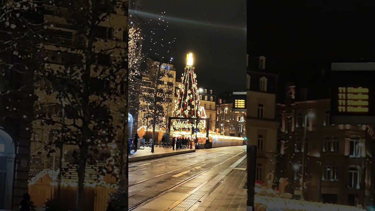 🌟Sparkling Winters in Luxembourg✨ 💙😍 #shorts #luxembourg #europe #winters