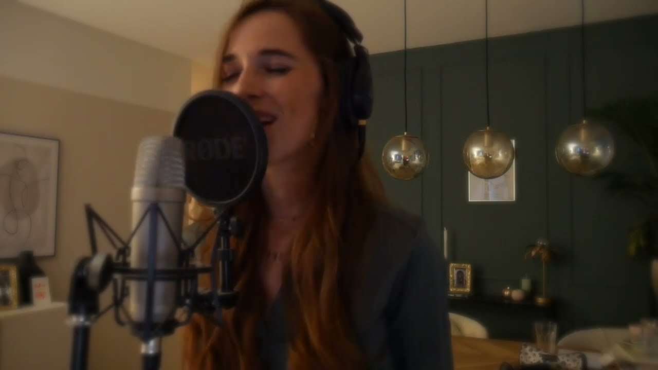 Bonnie Raitt - I Can't Make You Love Me (cover)