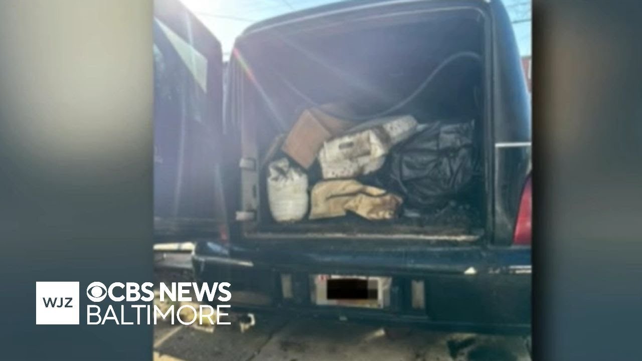 Baltimore crematorium owner pleads guilty after giving pet owners concrete instead of ashes