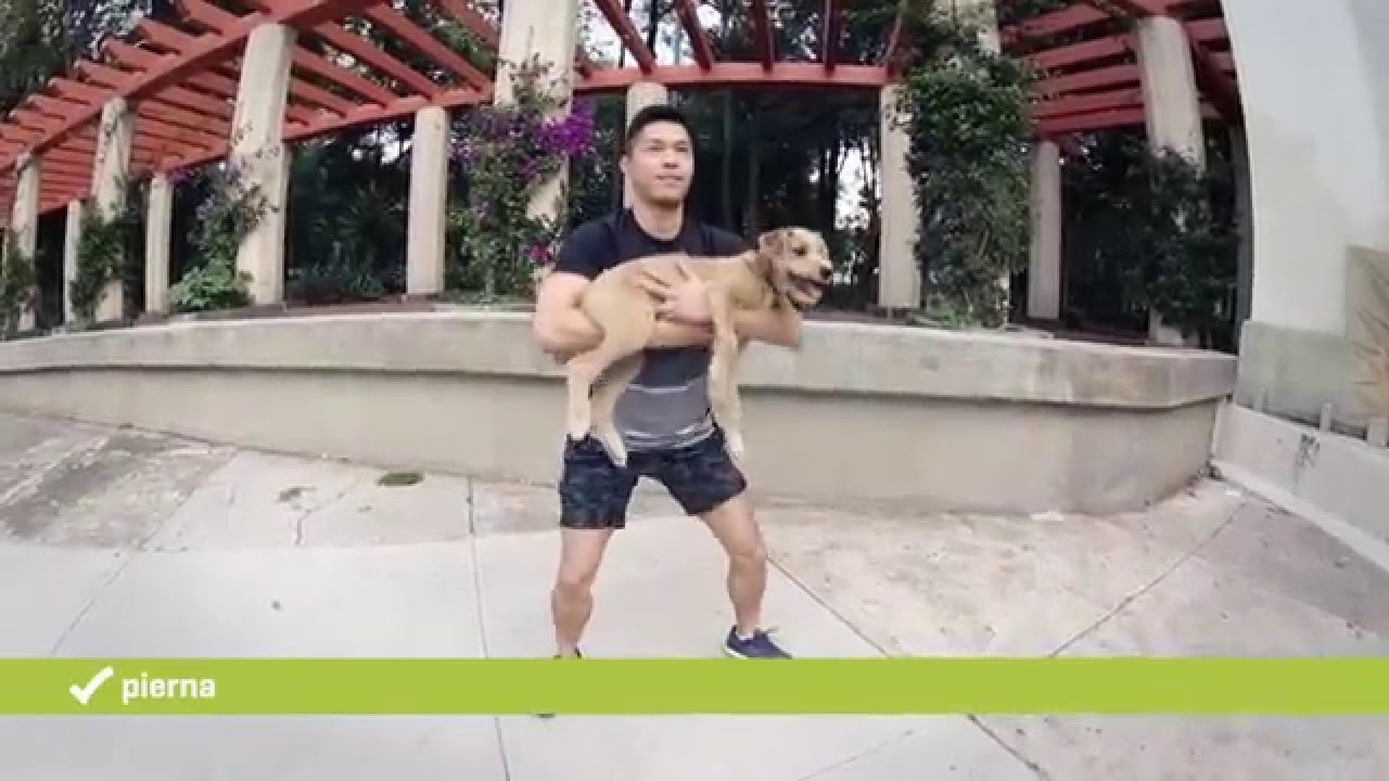 ¿Cómo hacer ejercicio con tu perro?