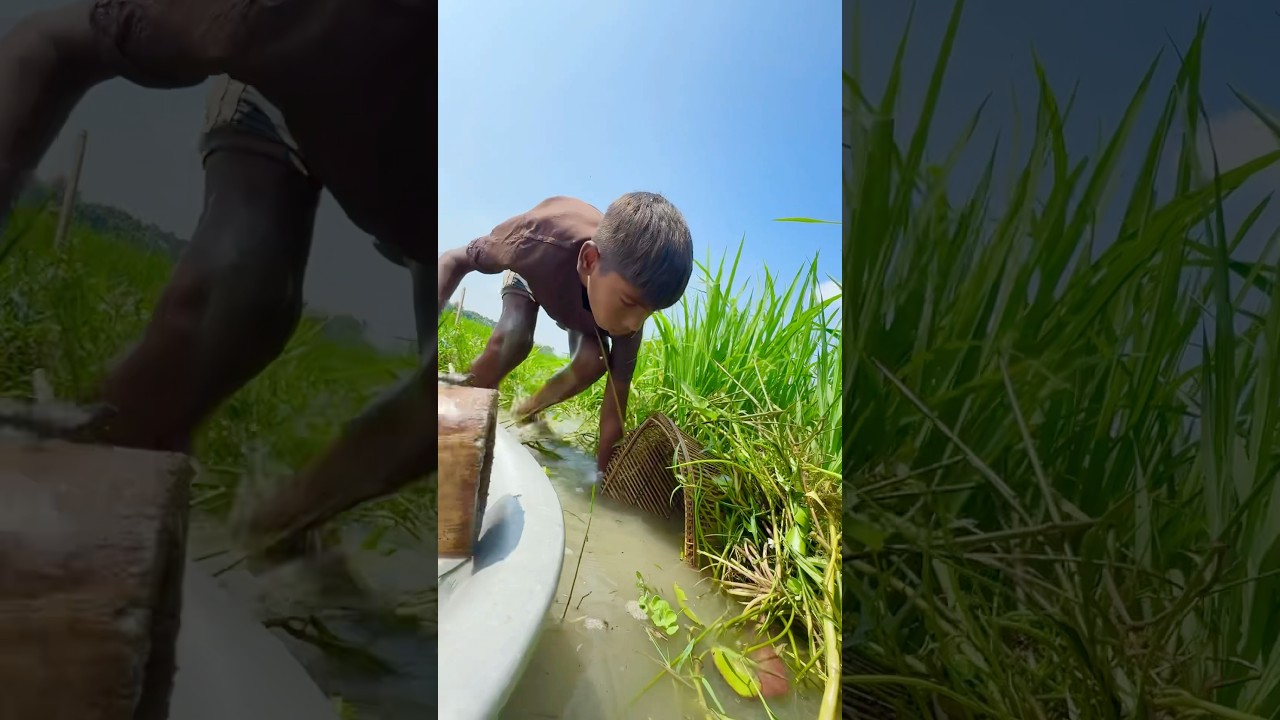 Unique bamboo fishing trap #fishing #fishingtrap #fishvideo #shorts