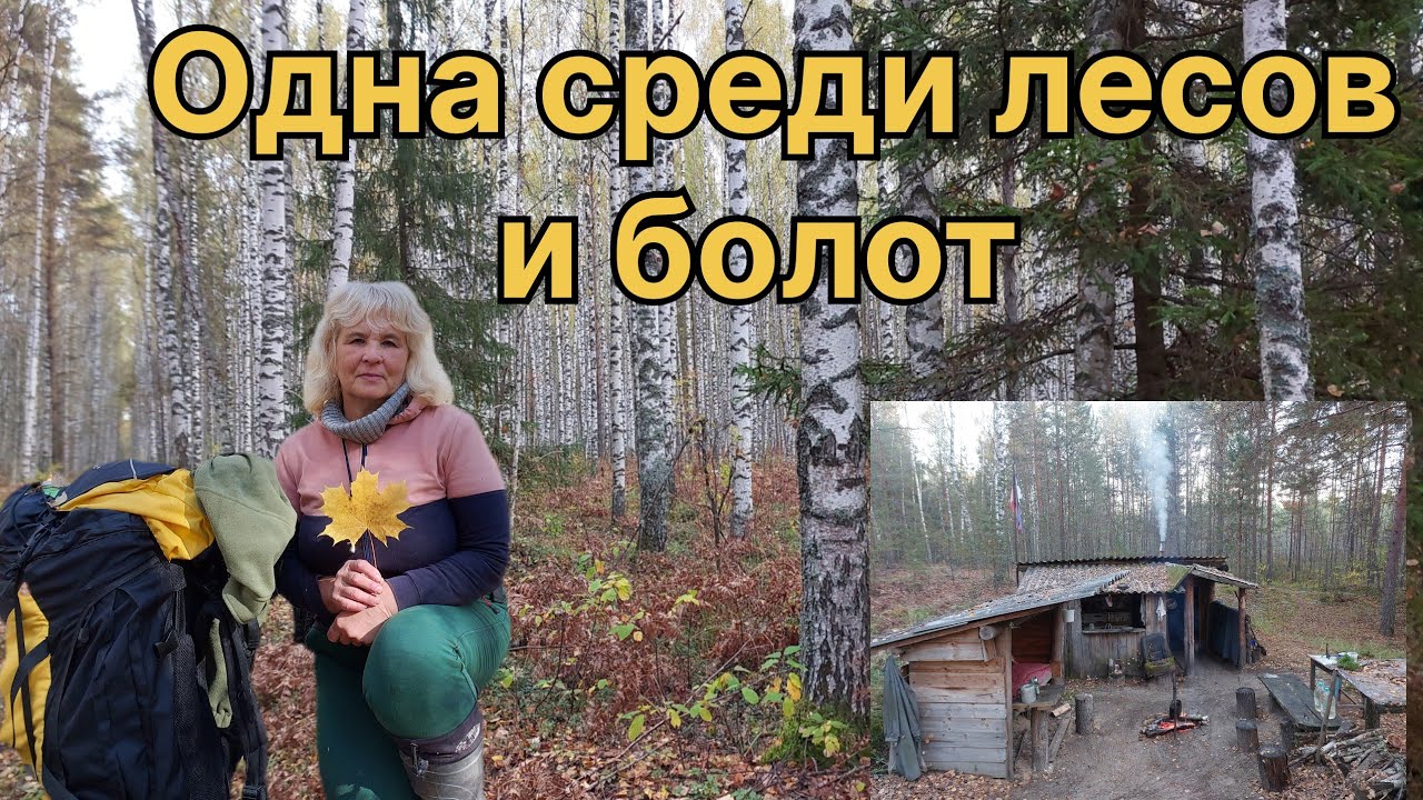 В ИЗБУШКЕ ПОСЕЛИЛИСЬ ОПАСНЫЕ ЖИЛЬЦЫ. ВЫРУЧИЛ ДОМИК У ОЗЕРА. 