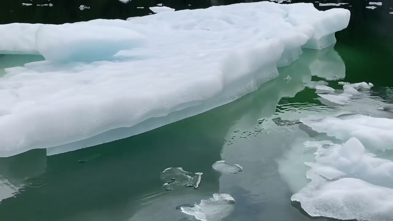 LeConte Glacier Tour | Petersburg Alaska