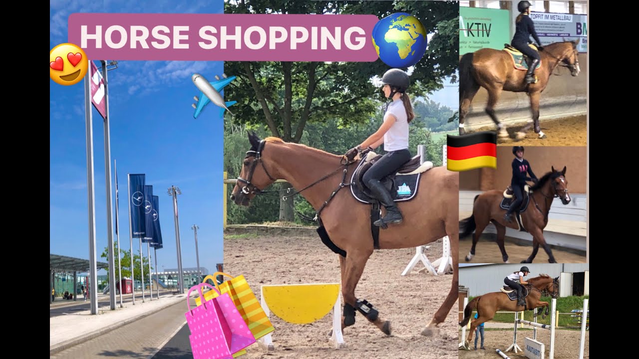 TRYING HORSES IN GERMANY | HORSE SHOPPING | NEW HORSE