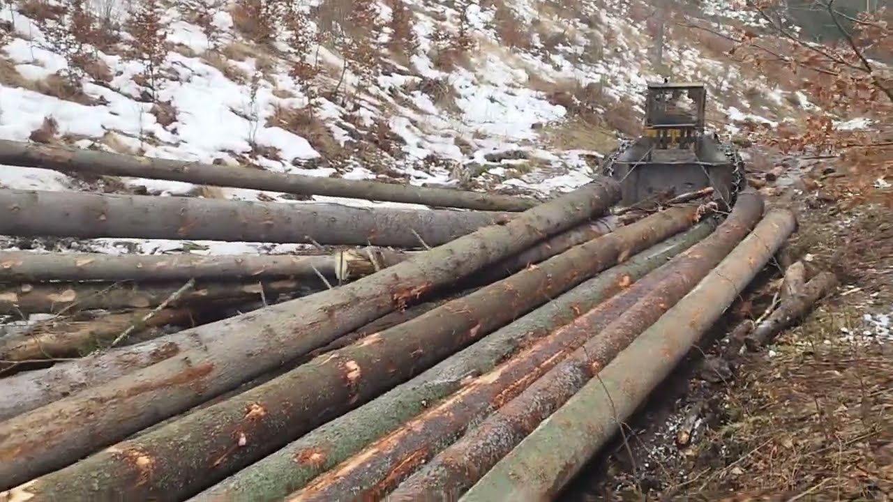 EXTREME SKIDDER LKT 81 T - 25m³