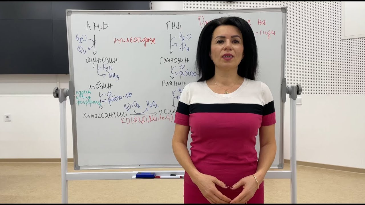 Обмяна на пуринови нуклеотиди / Metabolism of purine nucleotides