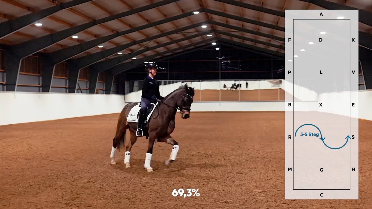 Ebba Lindholm rider FEI Lagprogram Ponny (med kommentarer)