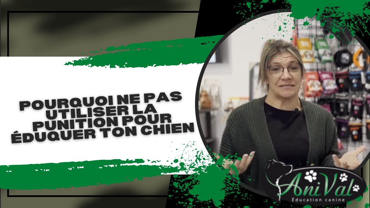 Pourquoi la punition n'est pas la méthode idéale pour éduquer ton chien