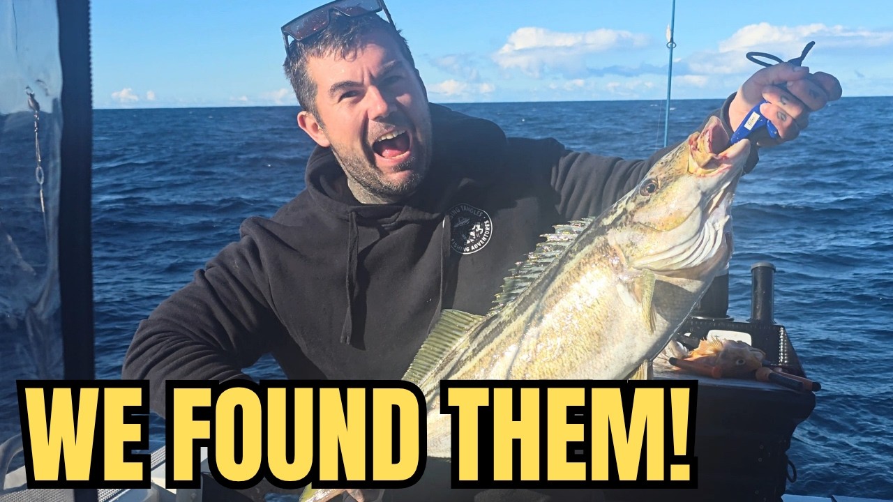 WE FOUND THEM! Winter Striped Trumpeter Fishing in Tasmania
